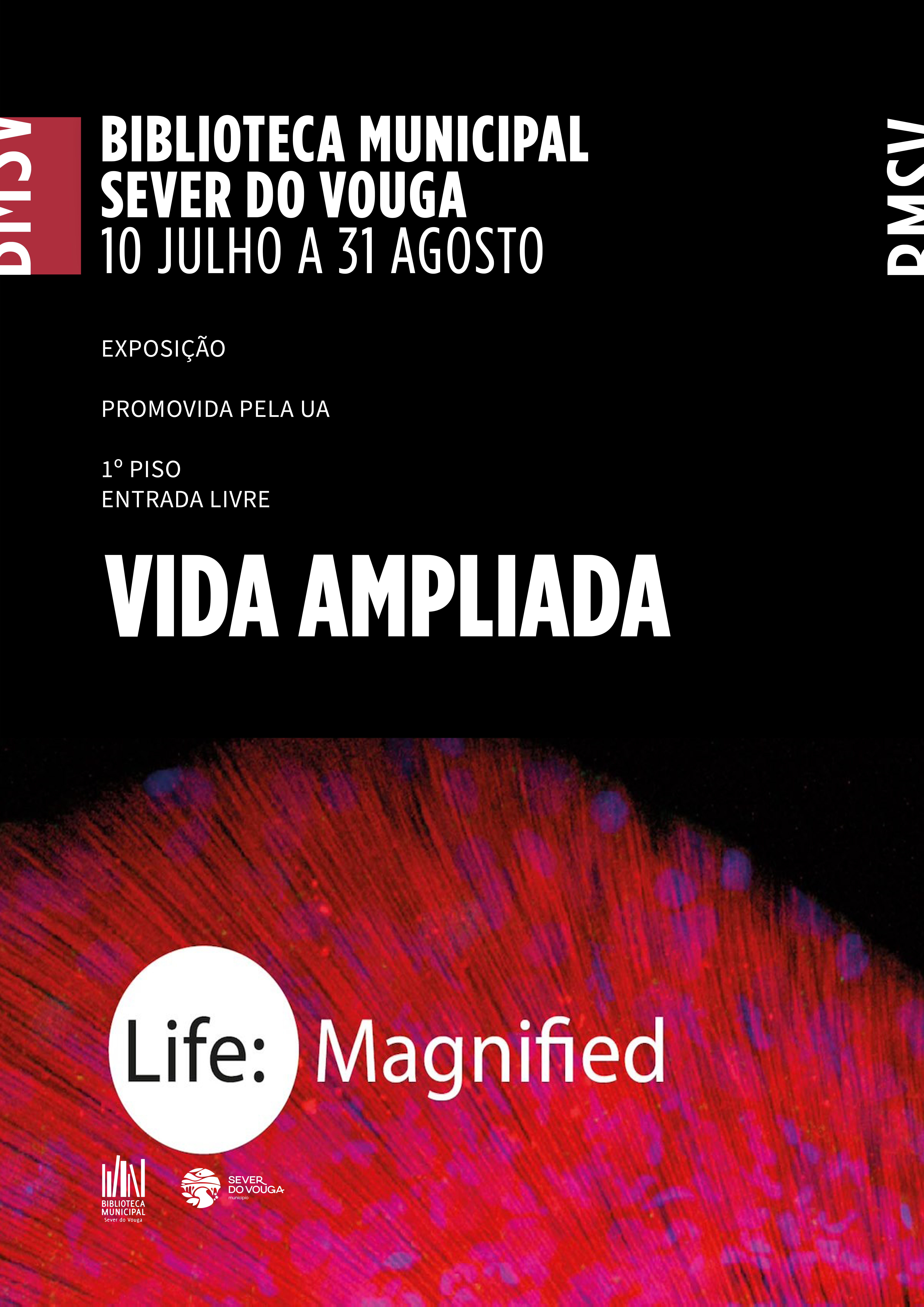 Exposição